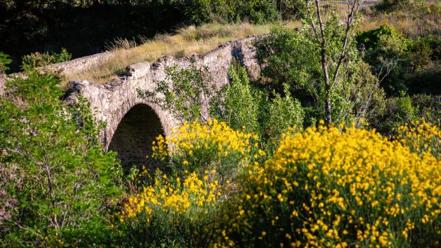 Rasigueres 3