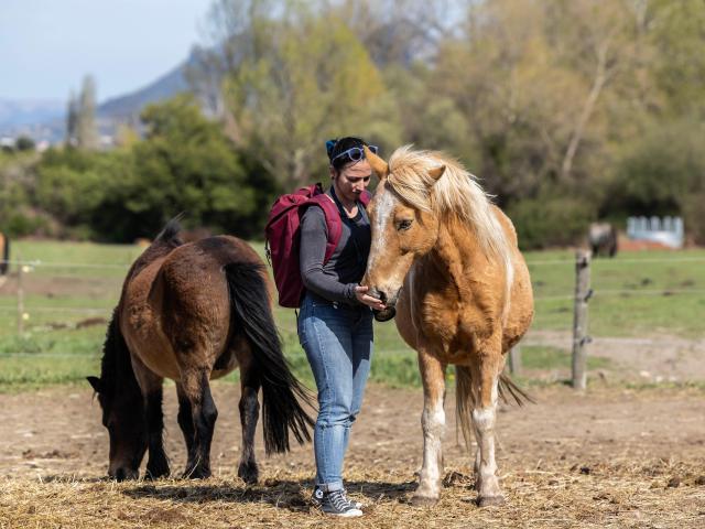 Equitation Castel Fizel 2