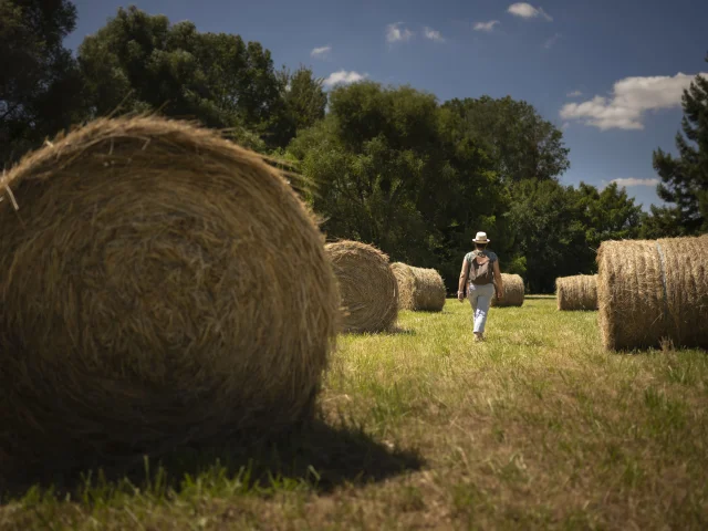 Balade dans l'arboretum d'Alençon