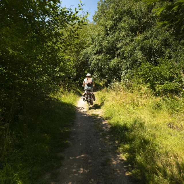 Passage dans l'arborétum