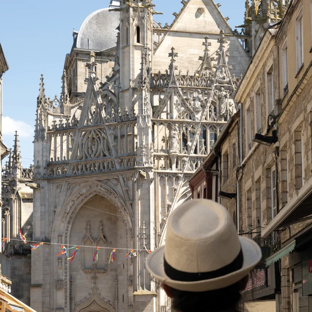 Vue sur le porche gothique flamboyant de la basilique Notre-Dame