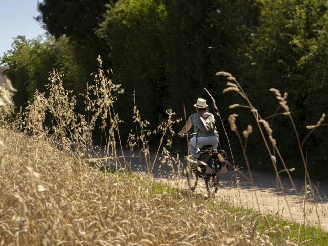 Balade à vélo