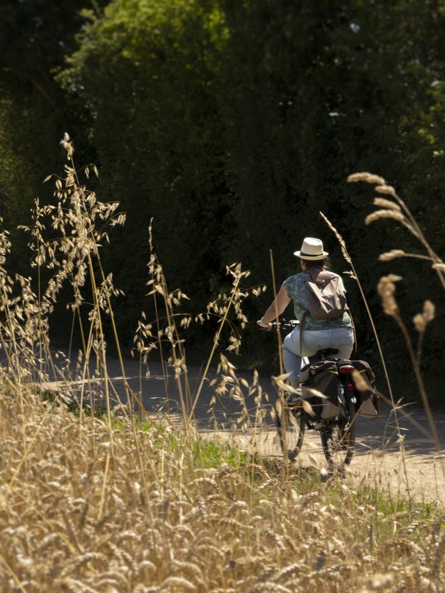 Balade à vélo