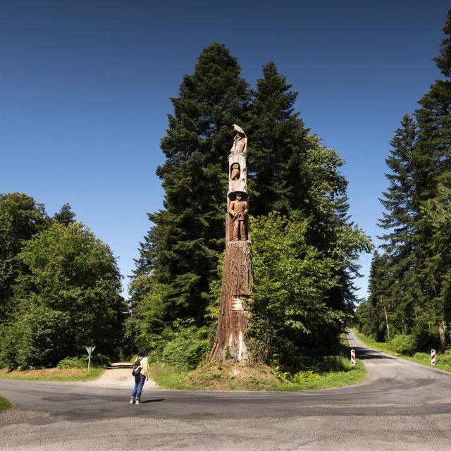 Randonneuse au pied du chêne au Verdier dans la forêt d'Écouves