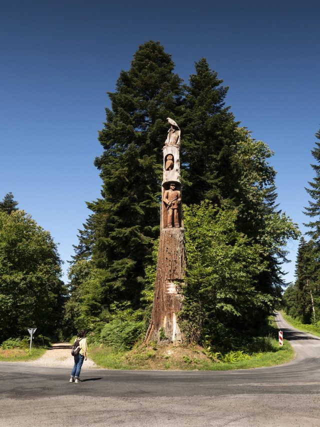 Randonneuse au pied du chêne au Verdier dans la forêt d'Écouves