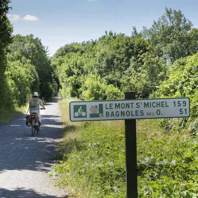 Cycliste sur la Véloscénie à Damigny