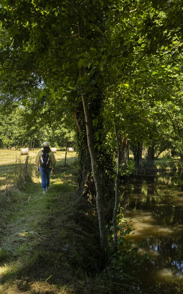 Femme se baladant le long du Sarthon à La Roche-Mabile