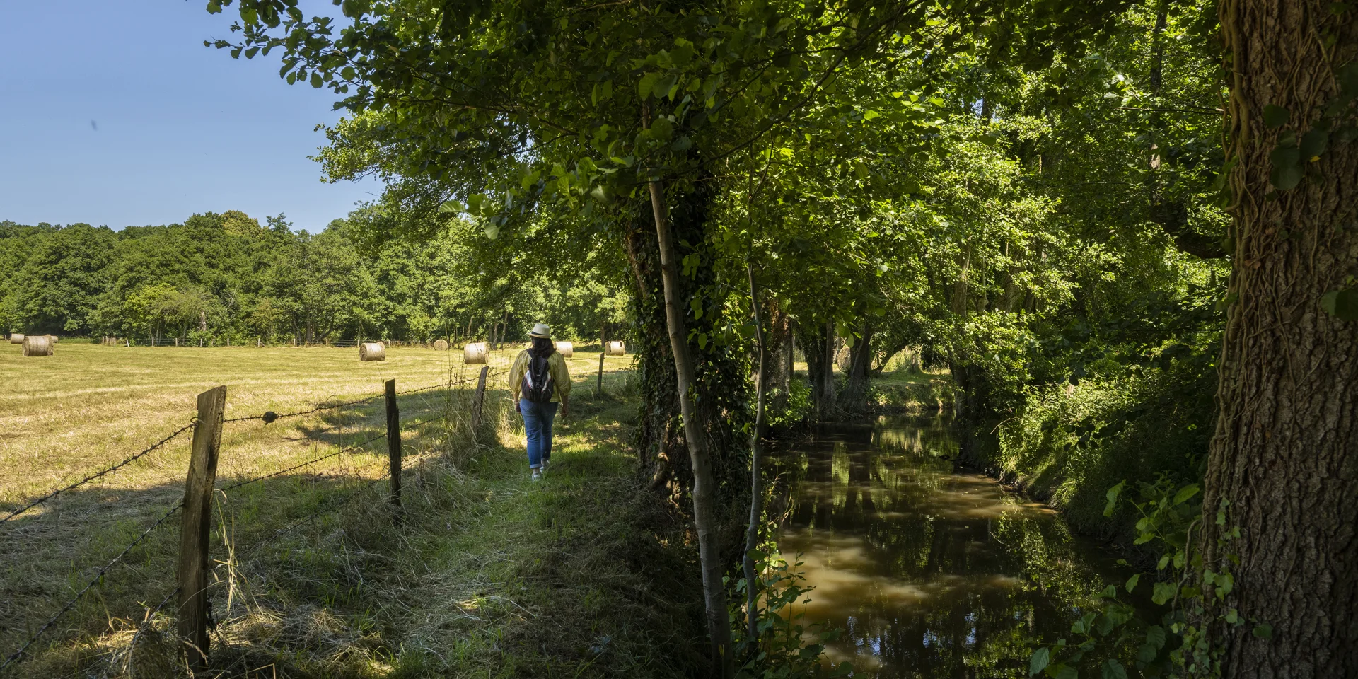 Promeneur le long des bords du Sarthon à La Roche Mabile