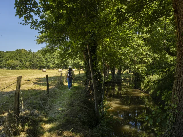 Promeneur le long des bords du Sarthon à La Roche Mabile