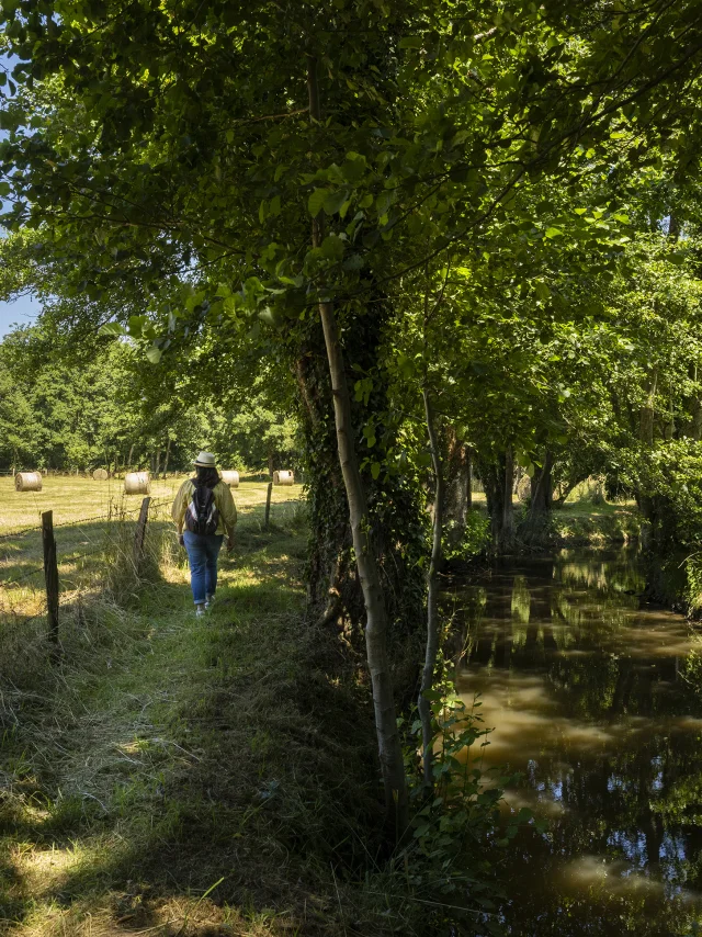 Promeneur le long des bords du Sarthon à La Roche Mabile