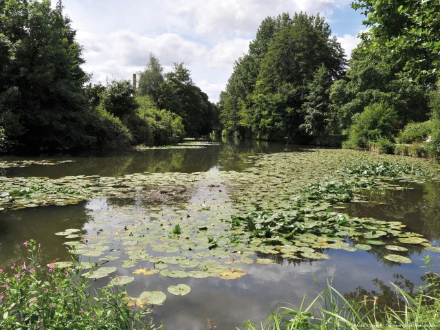 Les bords de Sarthe au parc Courbet à Alençon