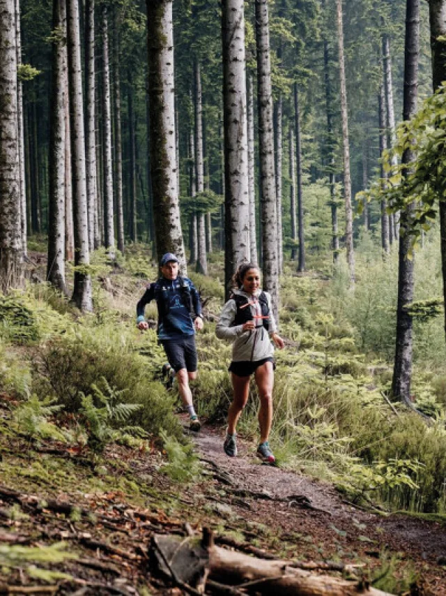 Traileurs courant dans la station de trail de la forêt d'Écouves