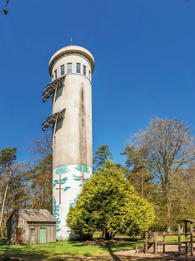 Vue extérieure du belvédère dans la forêt de Perseigne