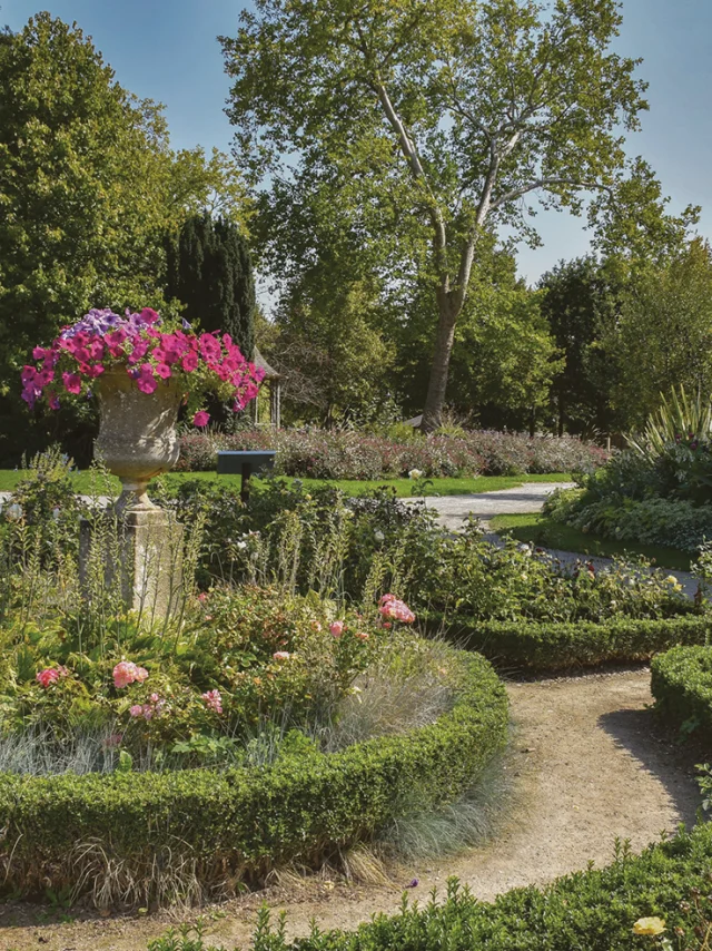 Vue de la roseraie du parc des Promenades