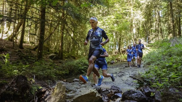 Traileurs dans la forêt d'Écouves