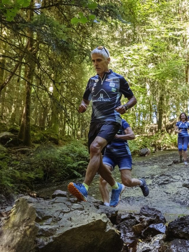 Traileurs dans la forêt d'Écouves