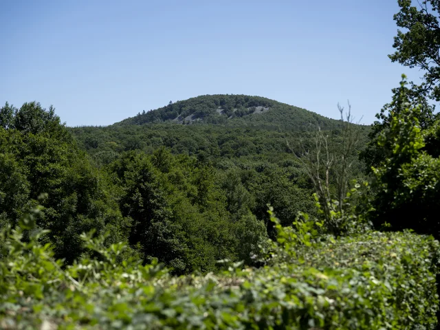 Vue sur la butte Chaumont