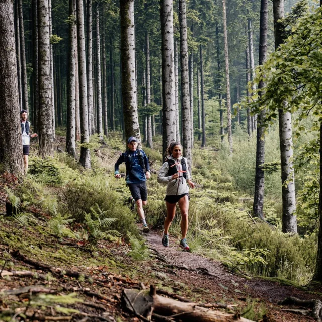 Traileurs dans la forêt d'Écouves