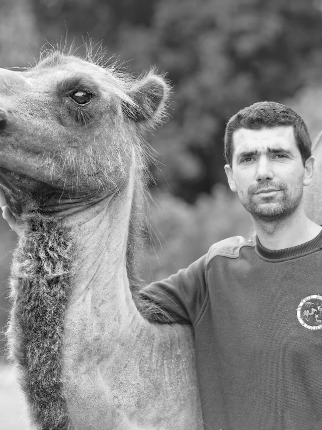 Portrait Vincent Chauvin