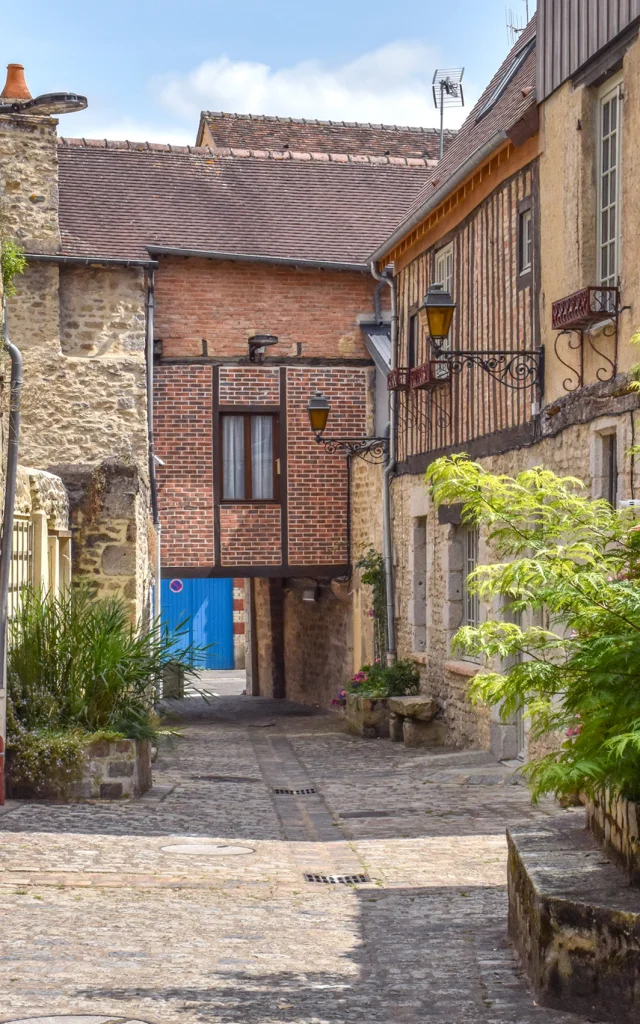 Cour Cochon de Vaubougon à Alençon