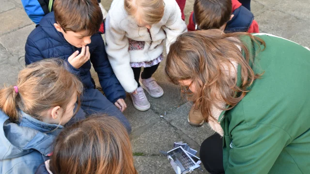 Visite Guidee Enfants