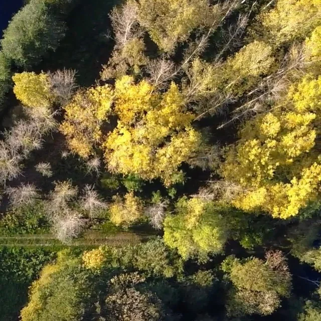 Instagram #saintcenerilegerei