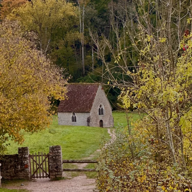 Instagram #saintcenerilegerei