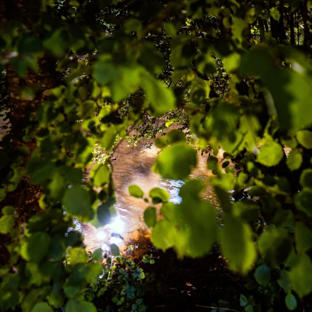 Instagram #saintcenerilegerei