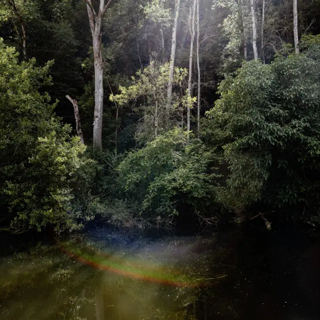 Instagram #saintcenerilegerei