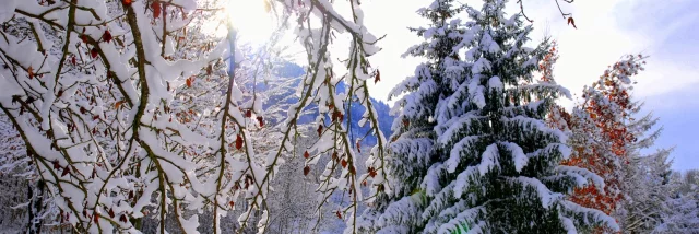 La Mirande sneeuwboom ©mairie D'allevard Les Bains