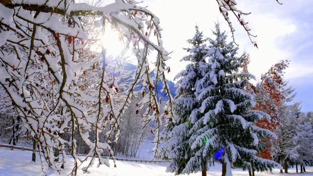 La Mirande sneeuwboom ©mairie D'allevard Les Bains