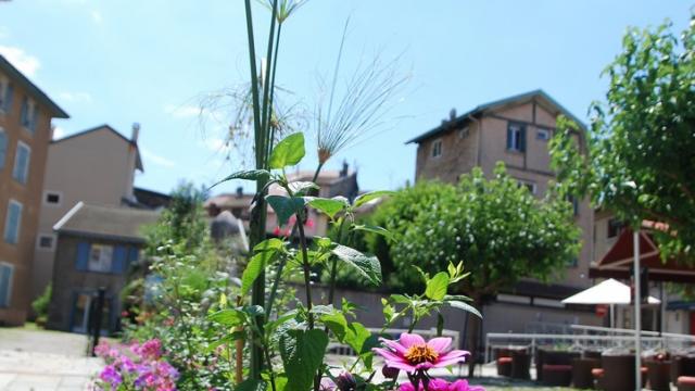 Fleurissement 2018 (1) ©mairie D'allevard Les Bains