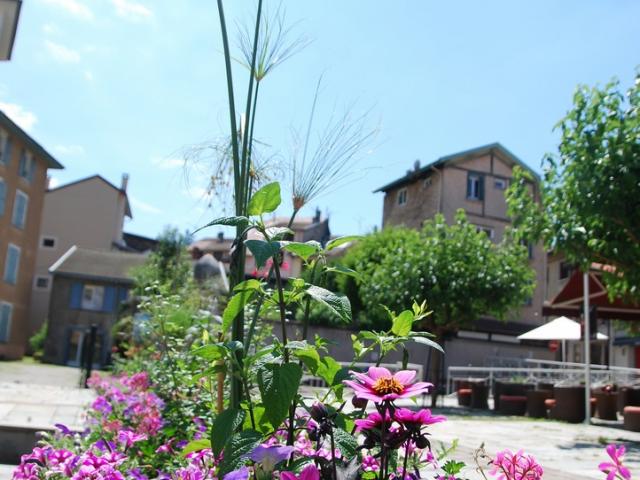 Fleurissement 2018 (1) ©mairie D'allevard Les Bains