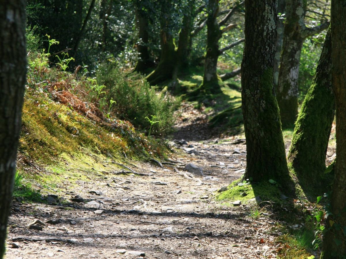 Envie de randonnée | Office de Tourisme des Alpes Mancelles