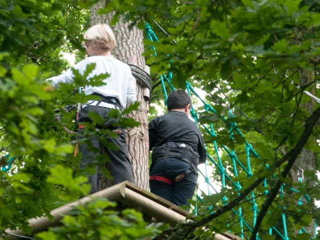 Tree climbing at Domaine du Gasseau