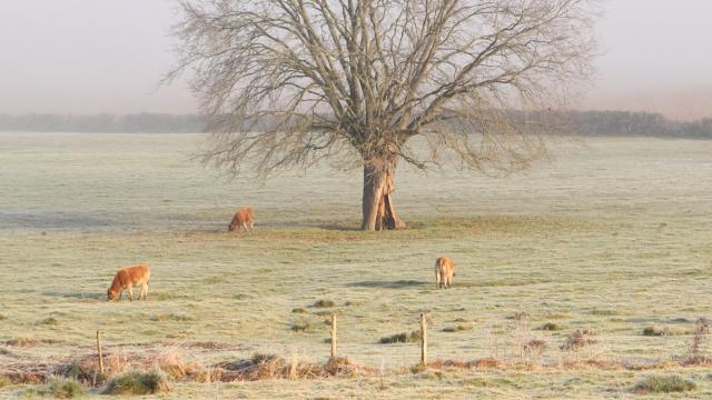 Paysage hivernal à Sougé-le-Ganelon