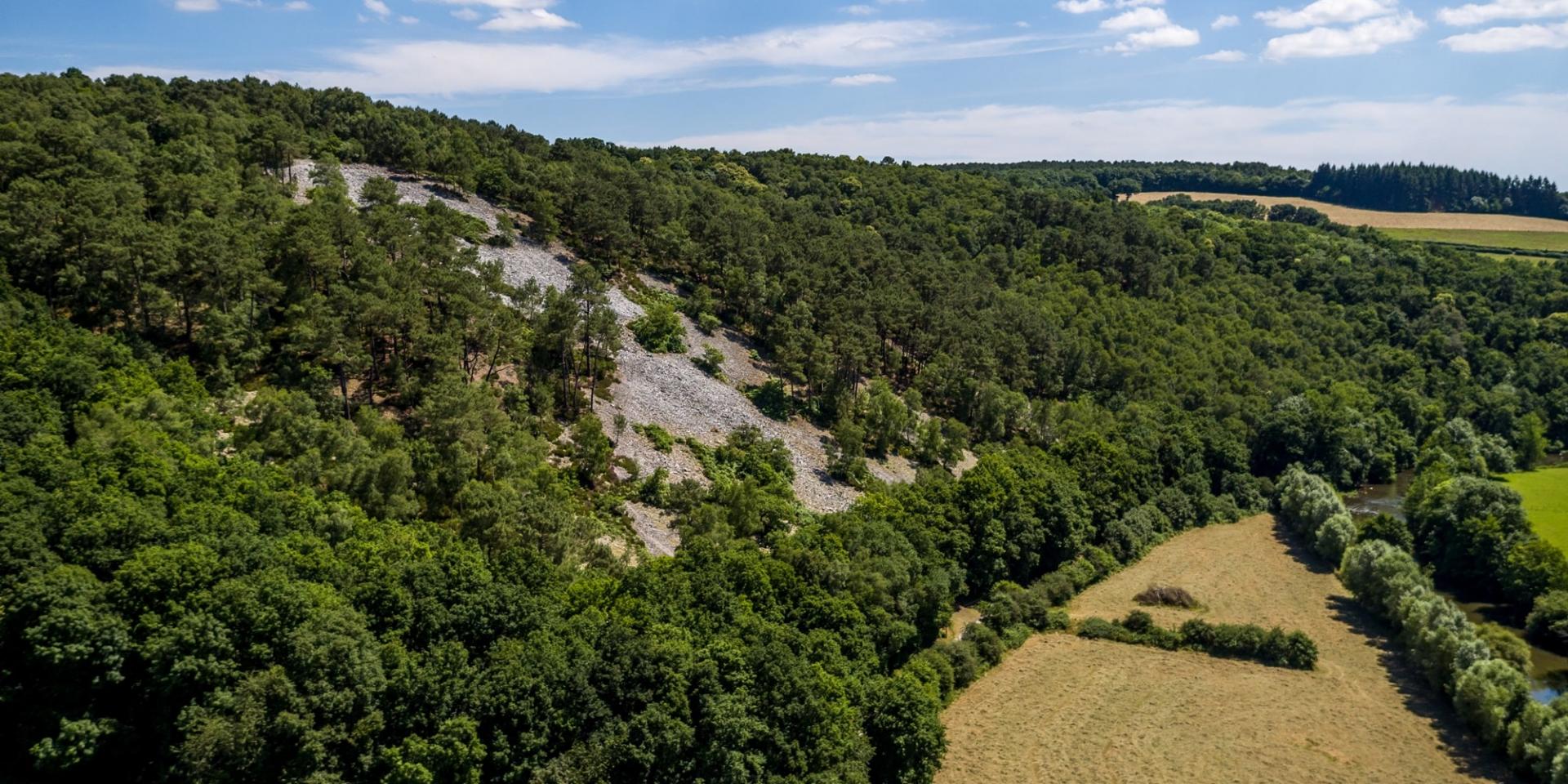 A scree slope on the banks of the river Sarthe