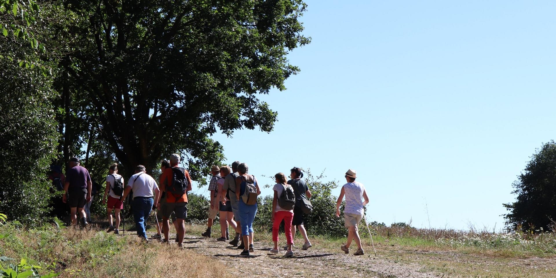 Hikers in Saint-Léonard-des-Bois