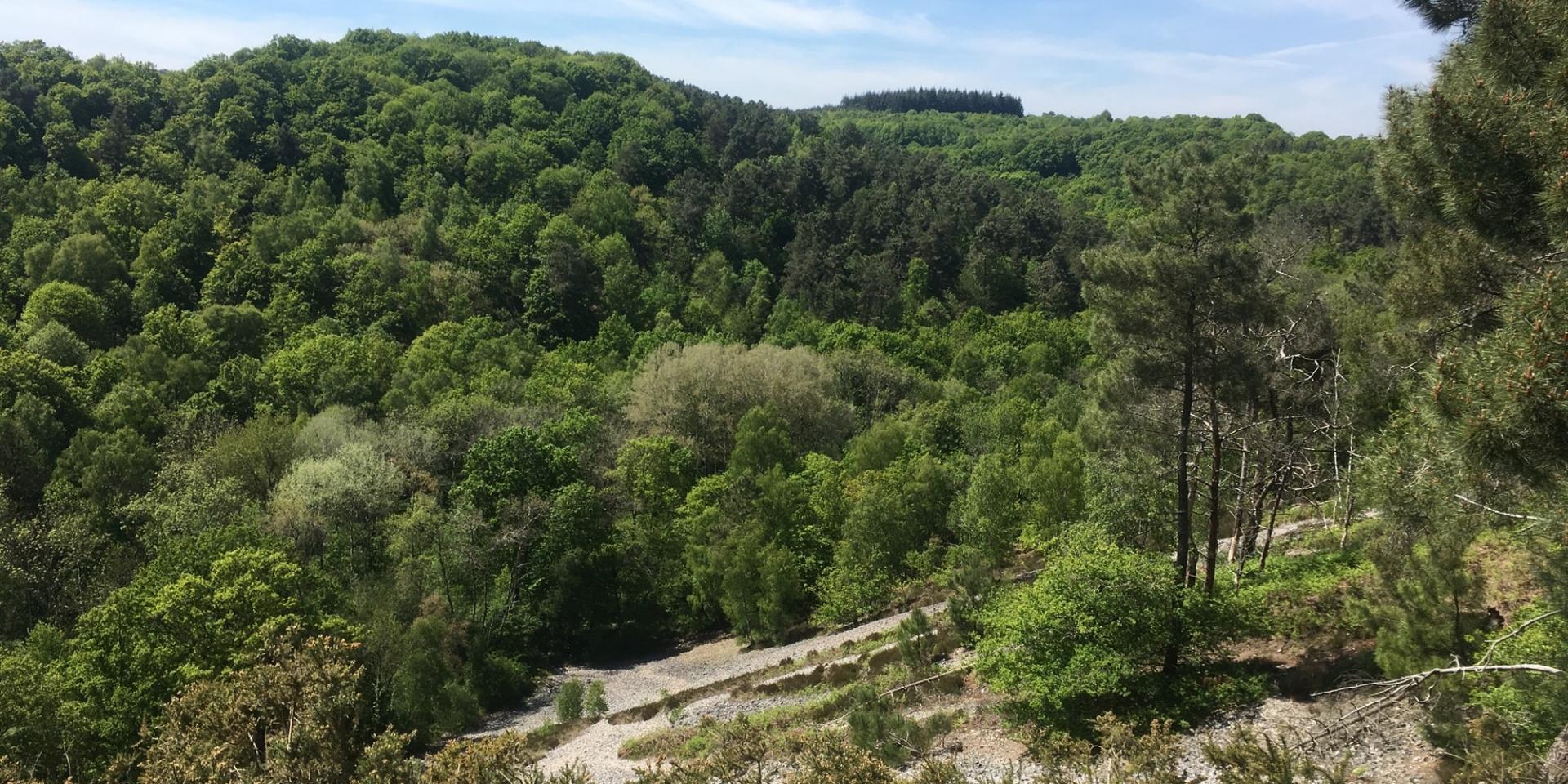The Valley of Misery