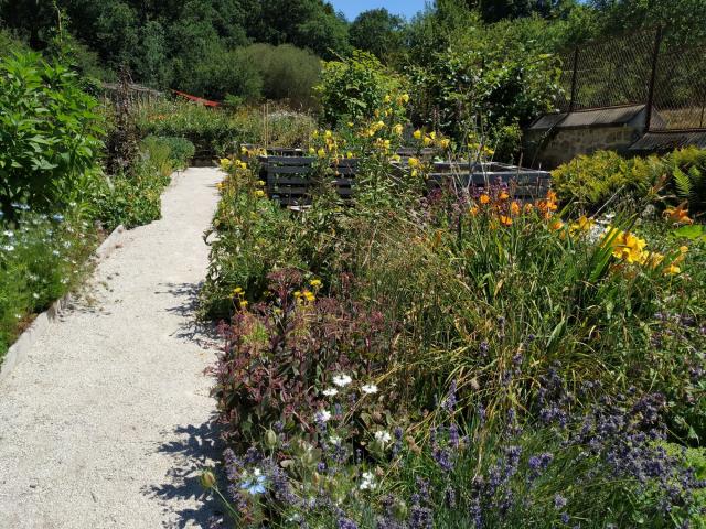 The garden at Domaine du Gasseau
