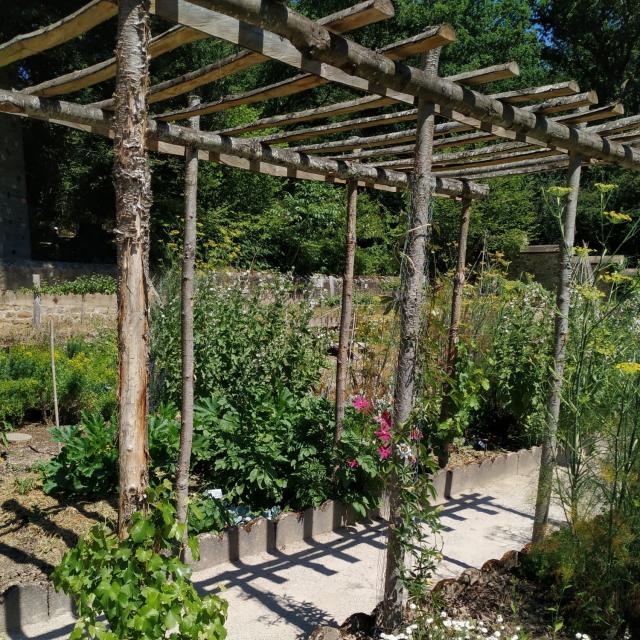 The garden at Domaine du Gasseau