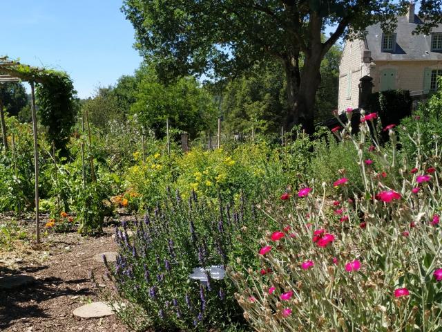 Le jardin du Domaine du Gasseau