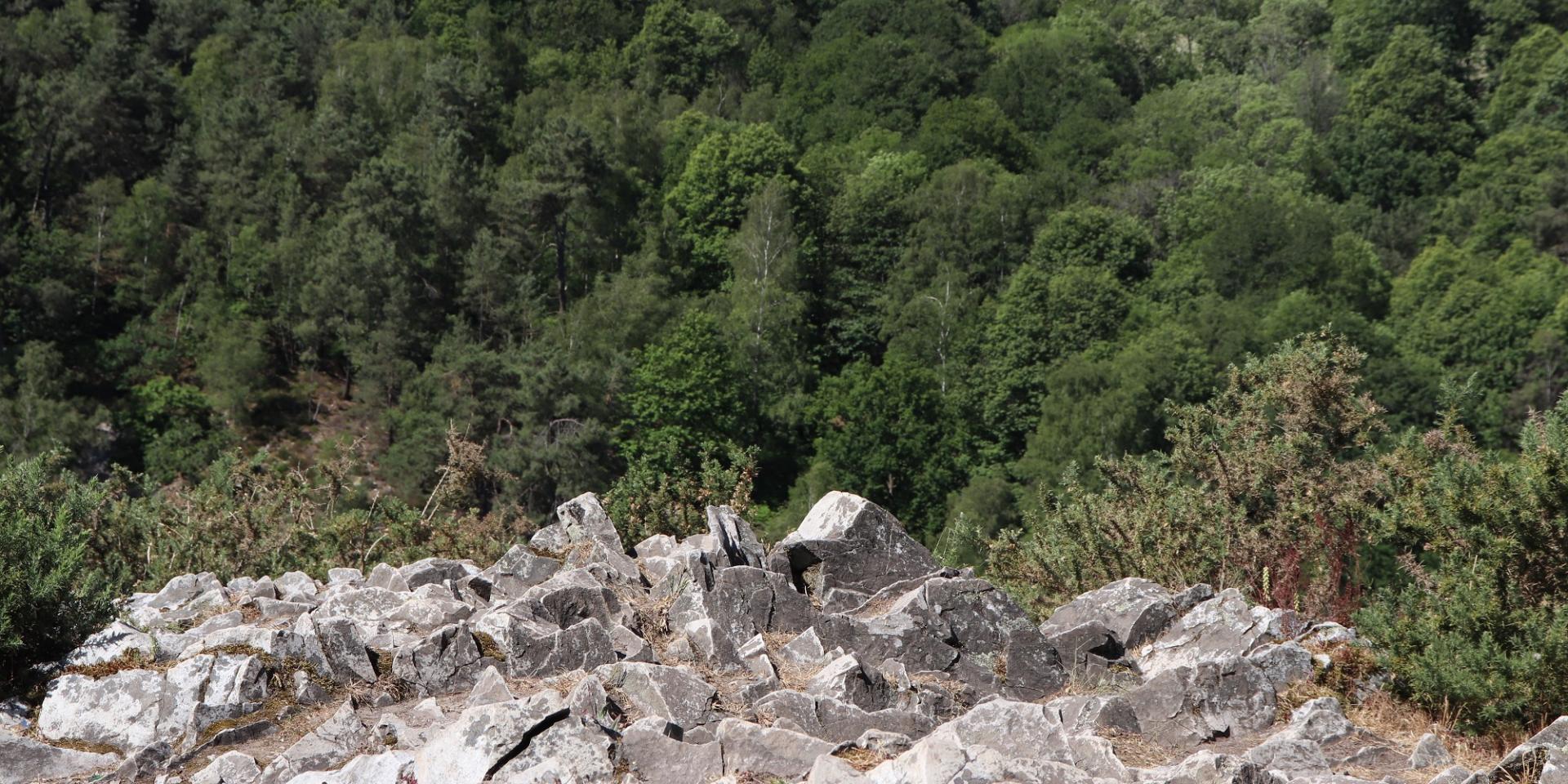 The heights of the Vallée de Misère