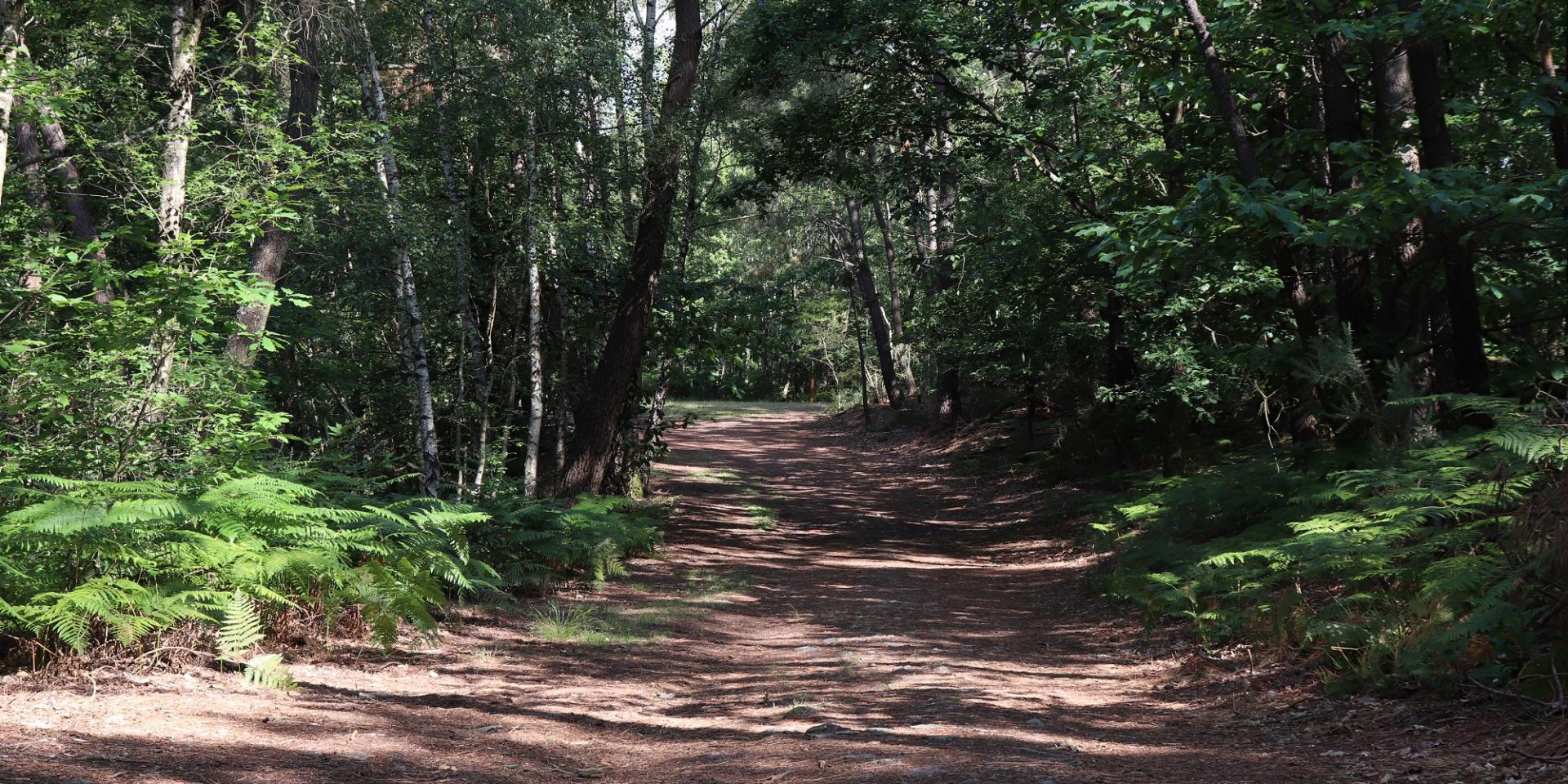 Hiking trail in Saint-Léonard-des-Bois
