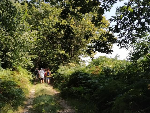 Randonnée pédestre dans les Alpes Mancelles