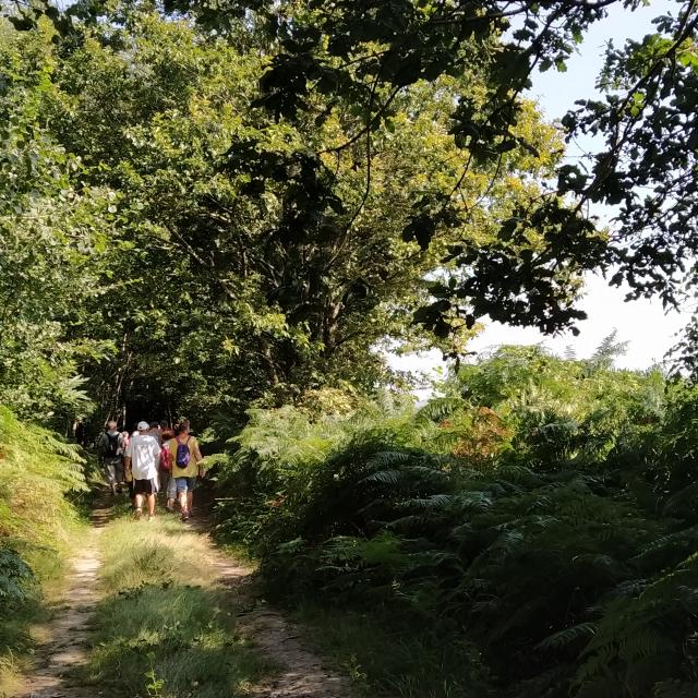 Hiking in the Alpes Mancelles