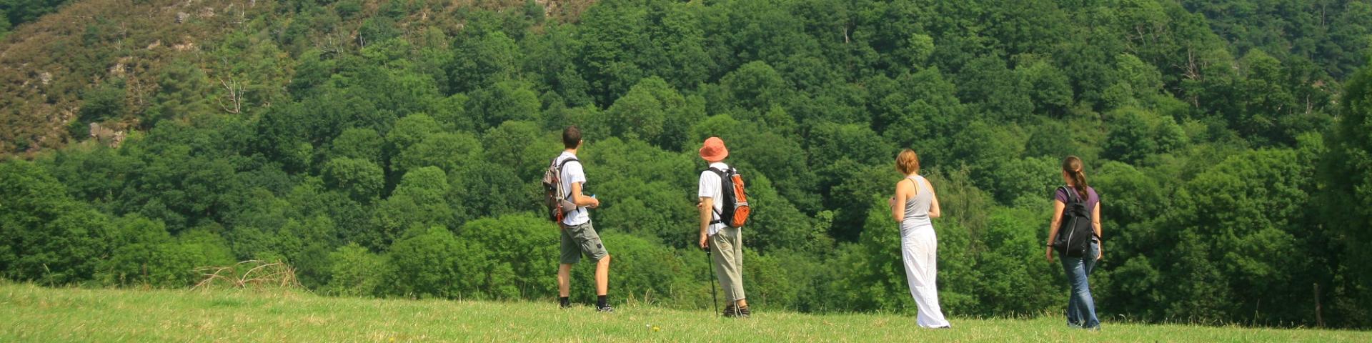 Activities in the Alpes Mancelles