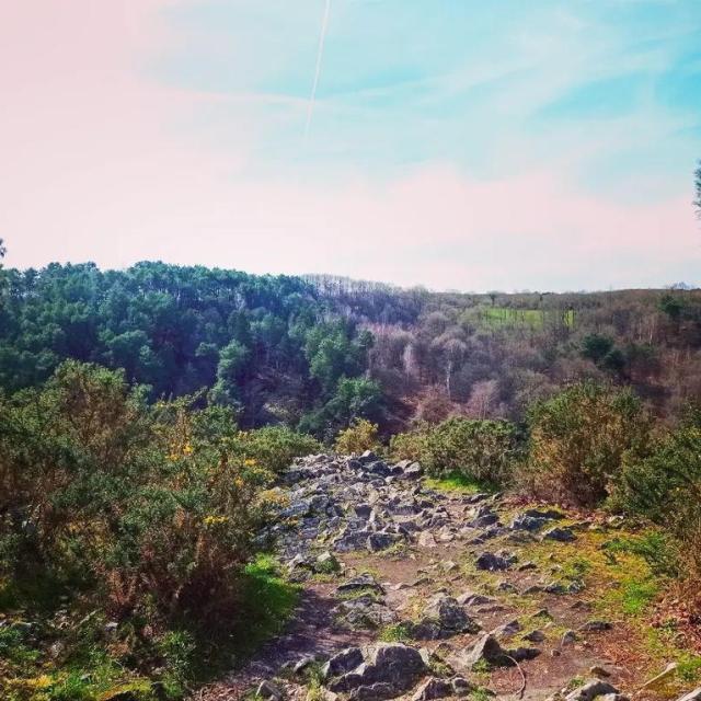 Instagram #alpesmancelles