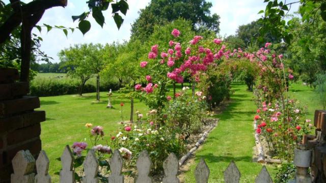 allee-rosiers-1.jpg