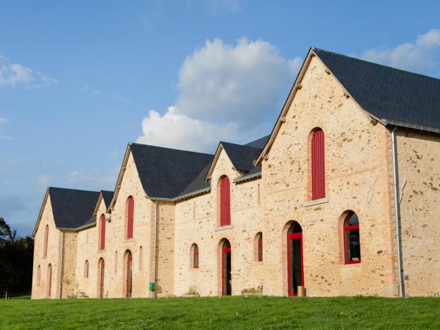 cline-choisnet-photographie-377-web.jpg